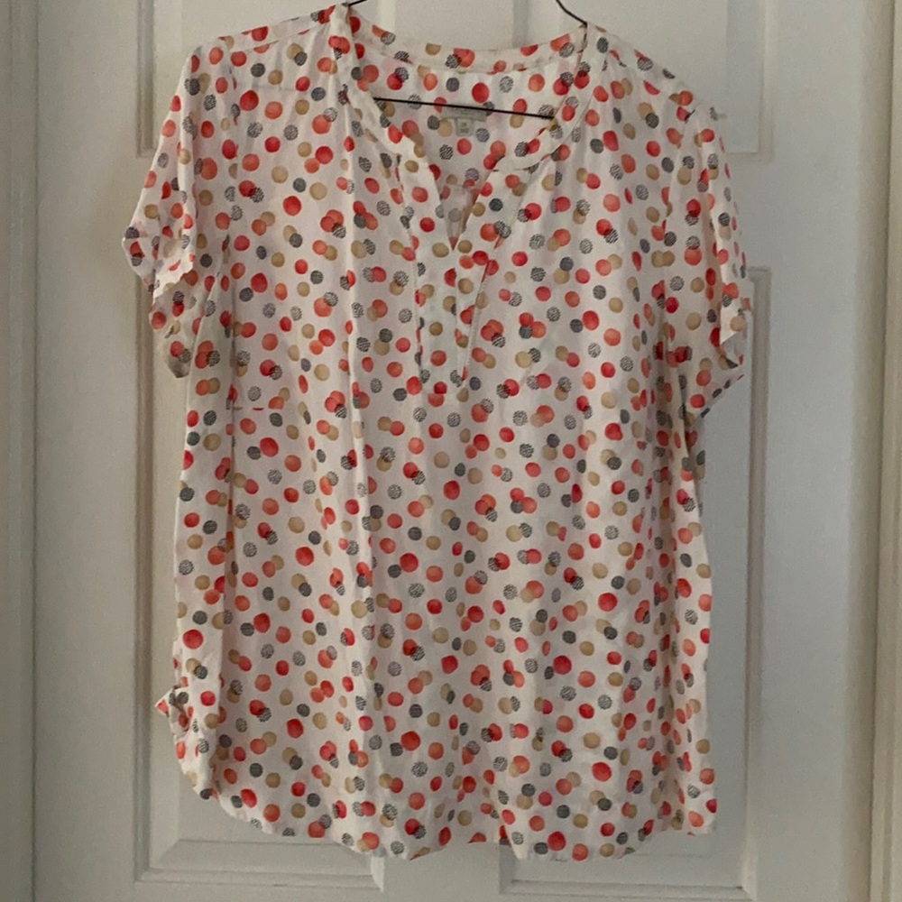 Fruity polka dot shirt 2X